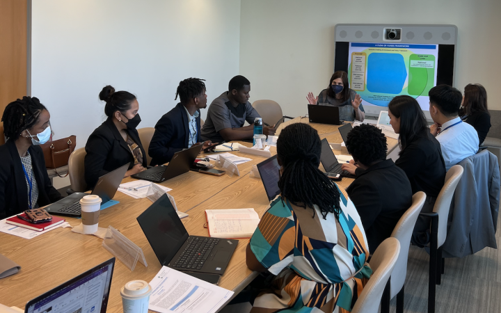 Ms. Sharon Spiegel talks about Financing for Sustainable Development