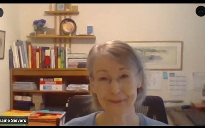 Ms. Loraine Sievers leading the discussion on Security Council matters