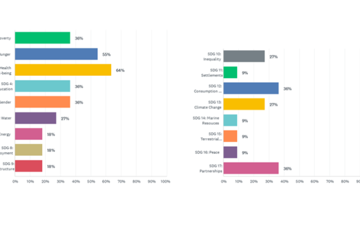 Figure 6. Contributions to the 2030 Agenda / Sustainable Development Goals (SDGs) 