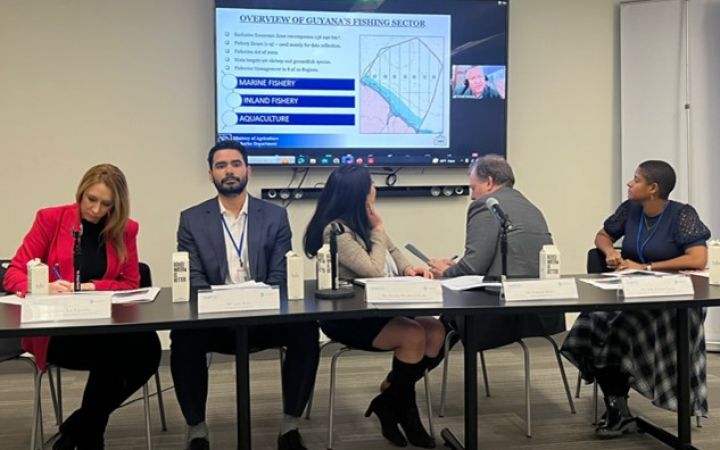 Panelists sitting down in front of the room