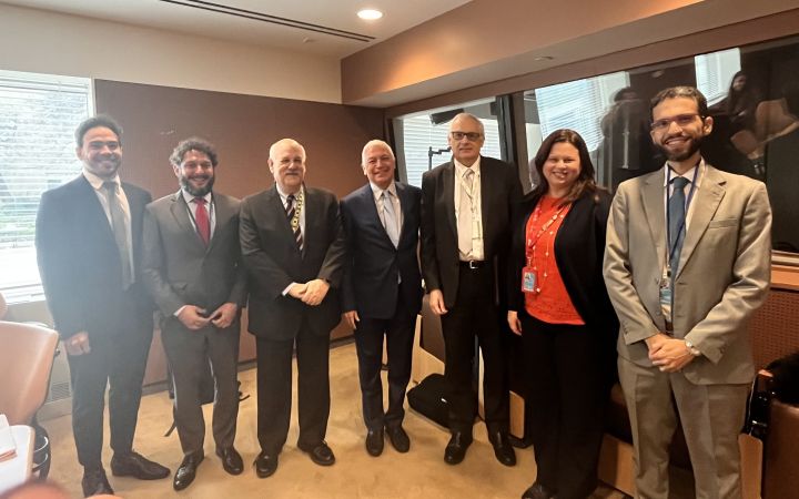 Developers of the Tool, Representatives of Malta, Brazil, and UNITAR 