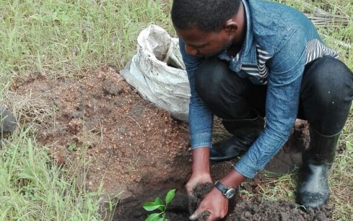 UNITAR Support for National Adaptation Plans