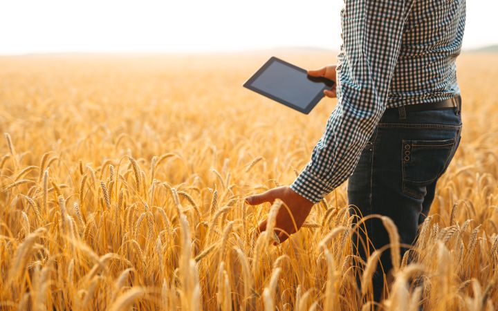 Agriculture via Envato Elements