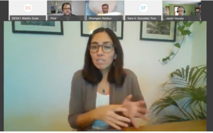 Panelist during the presentation of UNDESA-UNITAR webinar