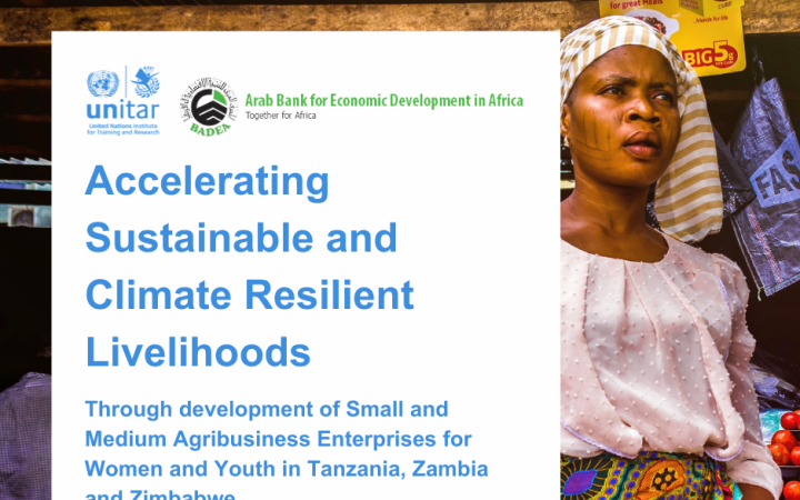 UNITAR Call for Applications