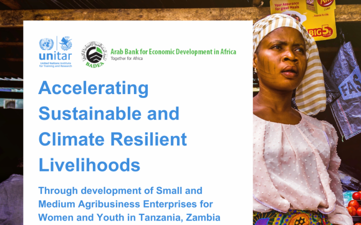 UNITAR Call for Applications