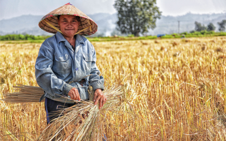 The One UN Climate Change Learning Partnership (UN CC:Learn) 