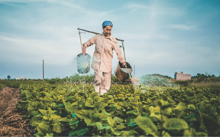 Sustainable Consumption and Production