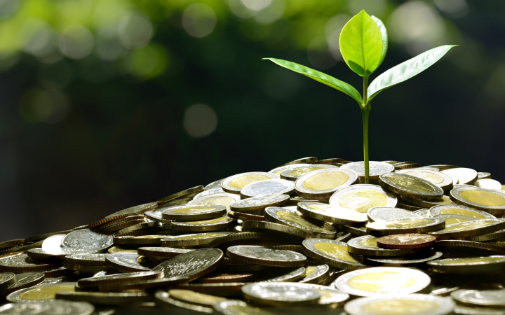 Climate Policy and Public Finance