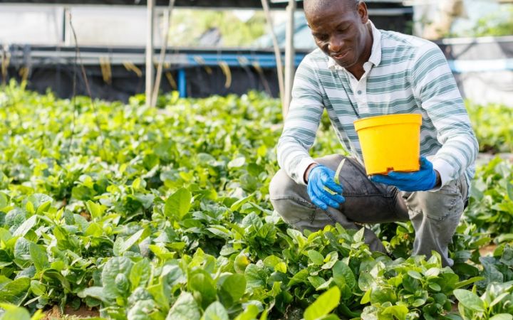 e-Course on Sustainable Consumption and Production in Africa 