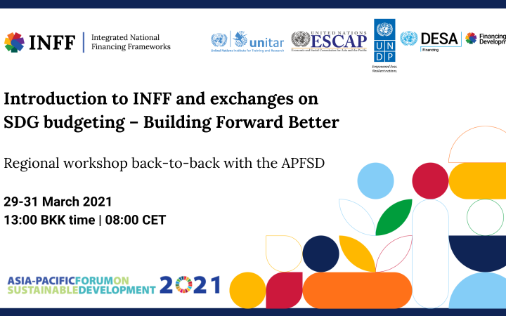 Banner INFF and Budgeting for SDGs