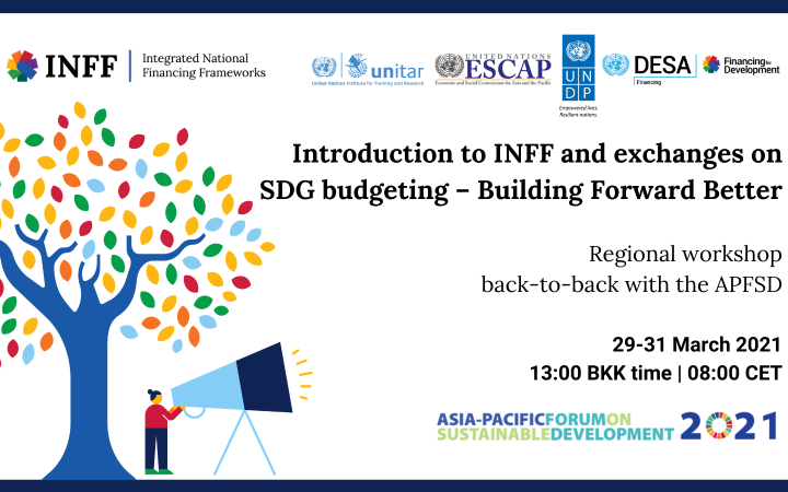 Banner INFF and Budgeting for SDGs_1