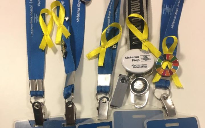 CIFAL Curitiba Promotes the Yellow May Campaign to Advance Road Safety in the State of Parana in Brazil