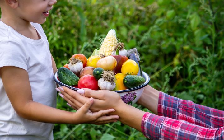 Child in the garden with vegetables in his hand