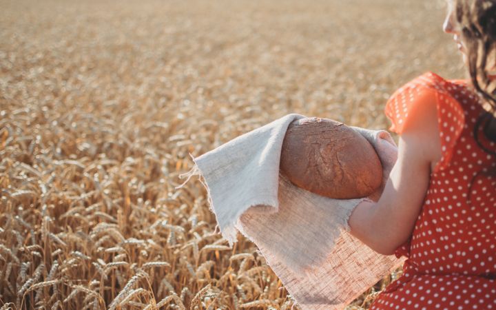 Food Security via Envato Elements