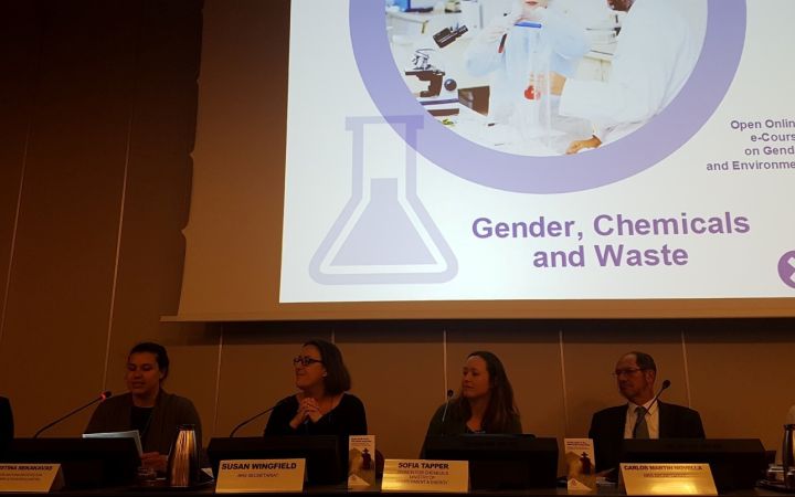 Gender, Chemicals and Waste online course presentation