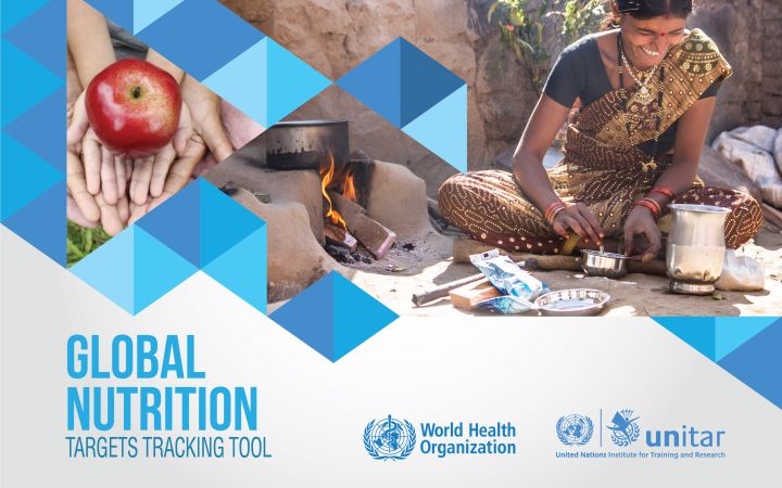Global Nutrition Targets Tracking Tool