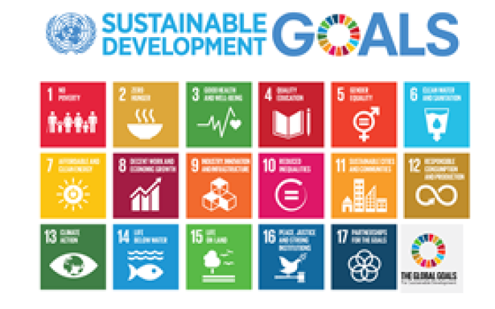 SDG banner