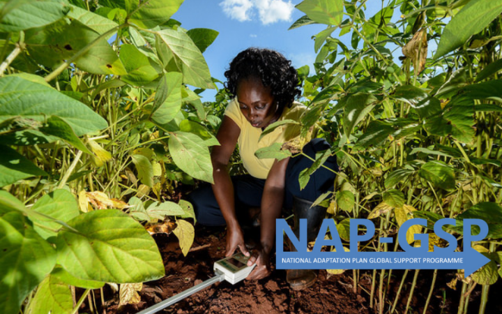 National Adaptation Planning