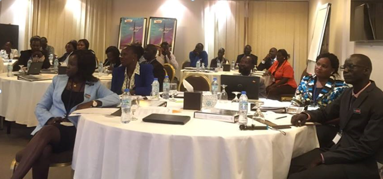 UNITAR South Sudan Fellowship Programme 2016