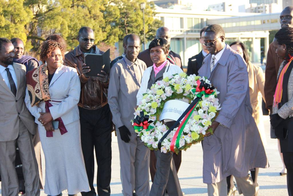 UNITAR South Sudan Fellowship Programme 2016