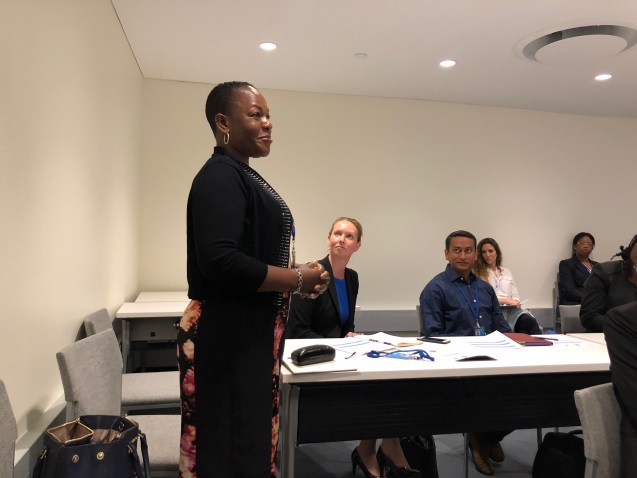 UNITAR NYO- NYU Women’s Initiative: A Road Map to Making Successful Pitch 