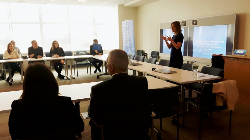 Photo 2: Ms. Denise Hauser, OHCHR, briefing the students.