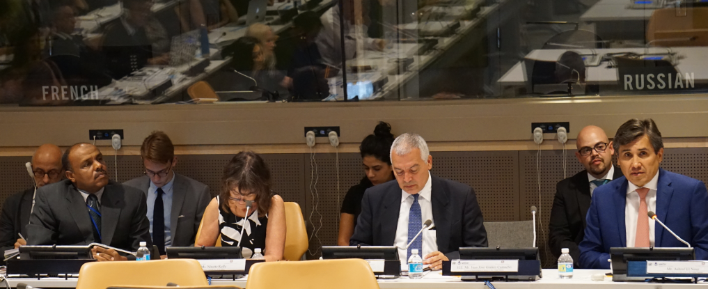 Mr. El Nour, Ms. Kelley, H.E. Mr. Suazo and H.E. Mr. Camacho as panelists