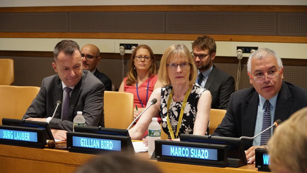 UNITAR NYO Hosts Course For New Delegates On The Fifth Committee