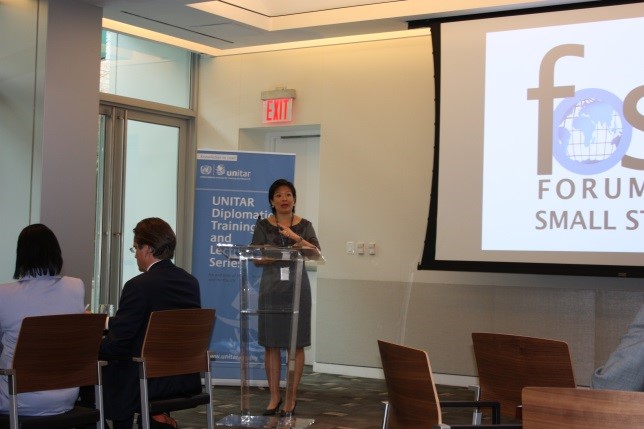 Forum of Small States Interactive Session