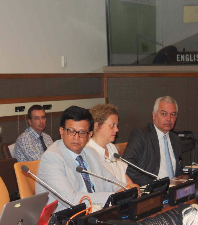 UNITAR workshop on business leading the way: the SDGs as a tool for sustainability and growth