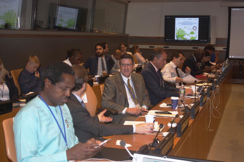 UNITAR workshop on business leading the way: the SDGs as a tool for sustainability and growth