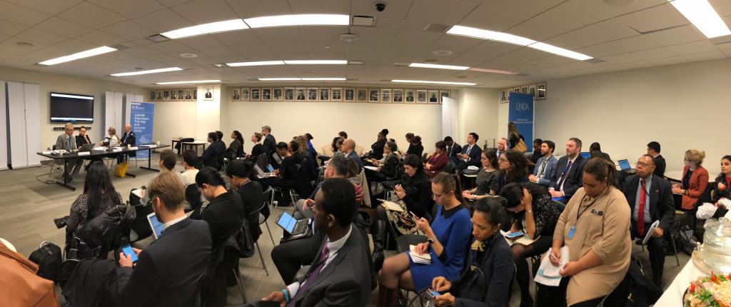 Introductory Briefing for UN DESA's New Tool on Migration 