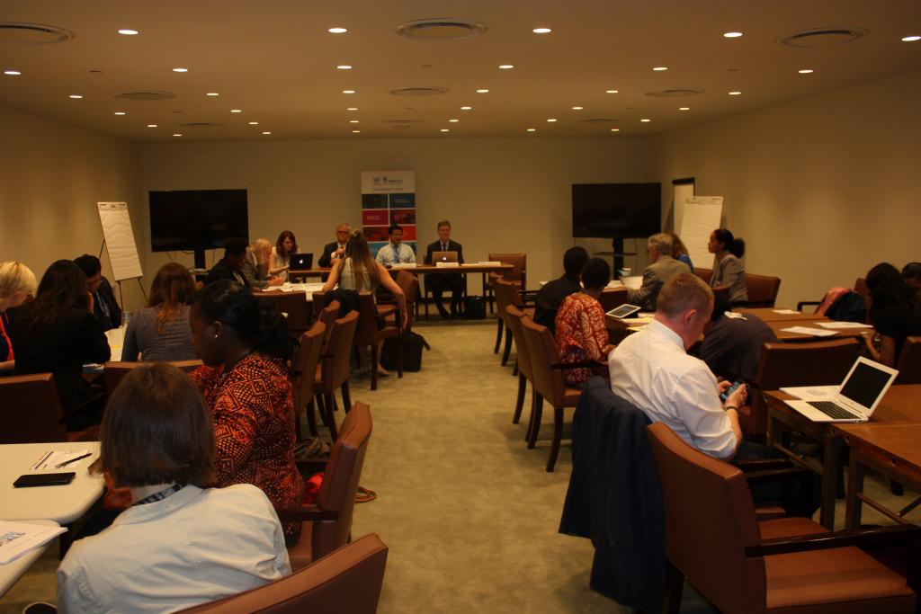 UNITAR Delivers Harmonizing Global, Regional, and National Commitments to Implement the SDGs Seminar to the New York Diplomatic Community