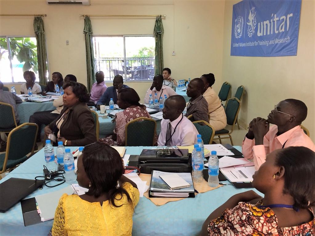UNITAR South Sudan Fellowship Programme 2015 WS1