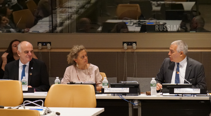 Mr. Nabarro, Ms. Duran and Mr. Suazo