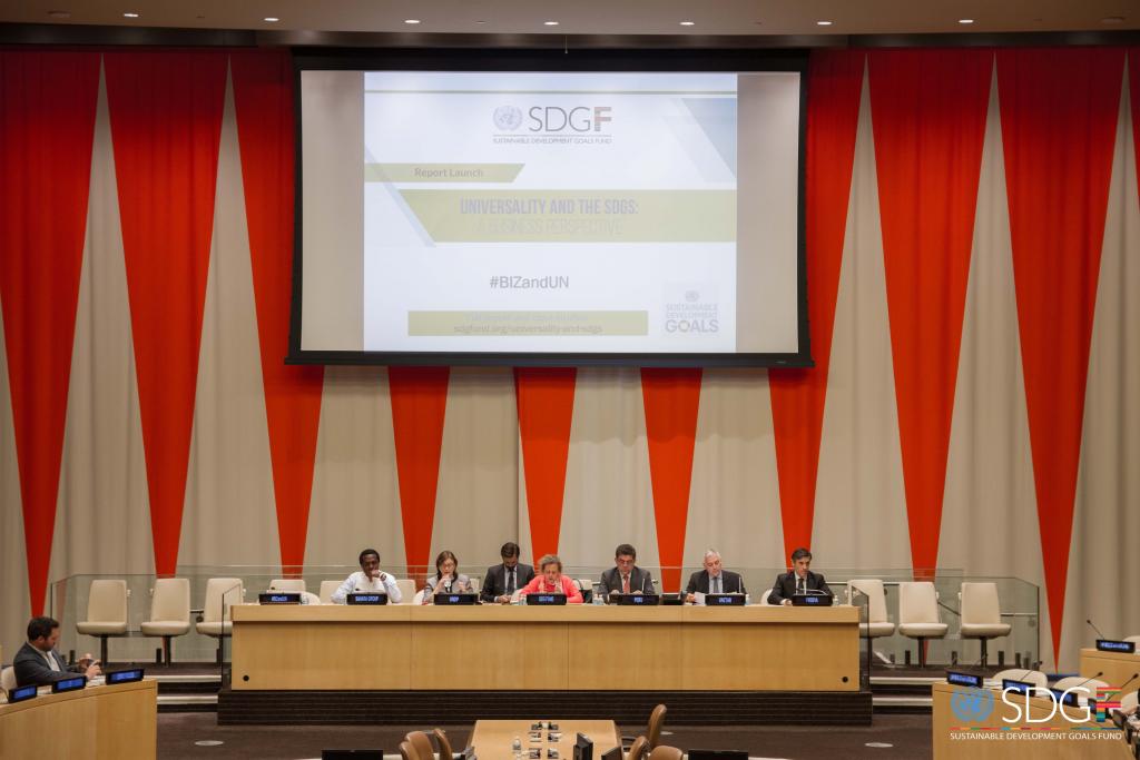 SDG-Fund launches 2016 report