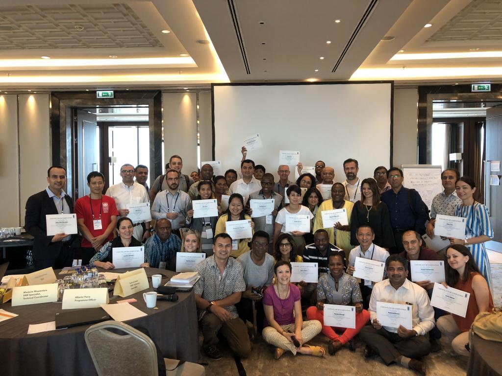 UNOSAT and UNDP Organize Joint Training to Streamline Use of Geospatial Technologies