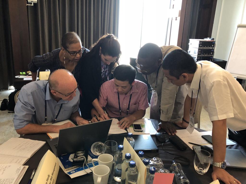 UNOSAT and UNDP Organize Joint Training to Streamline Use of Geospatial Technologies