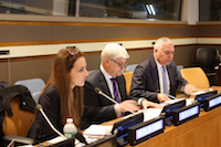 UNITAR NY: Elections to UN Organs